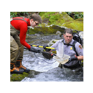 Volunteers work with National Park personnel